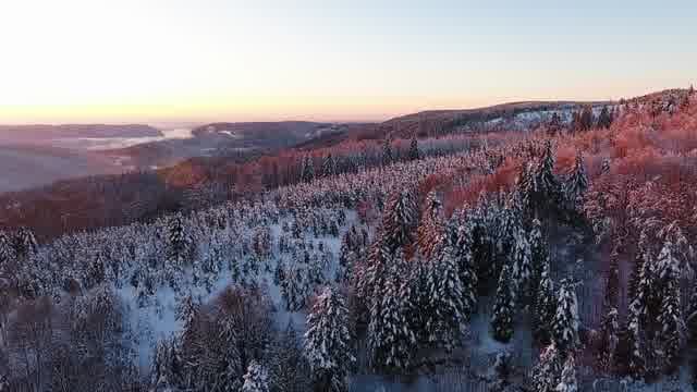 Vosges France Snow Nature